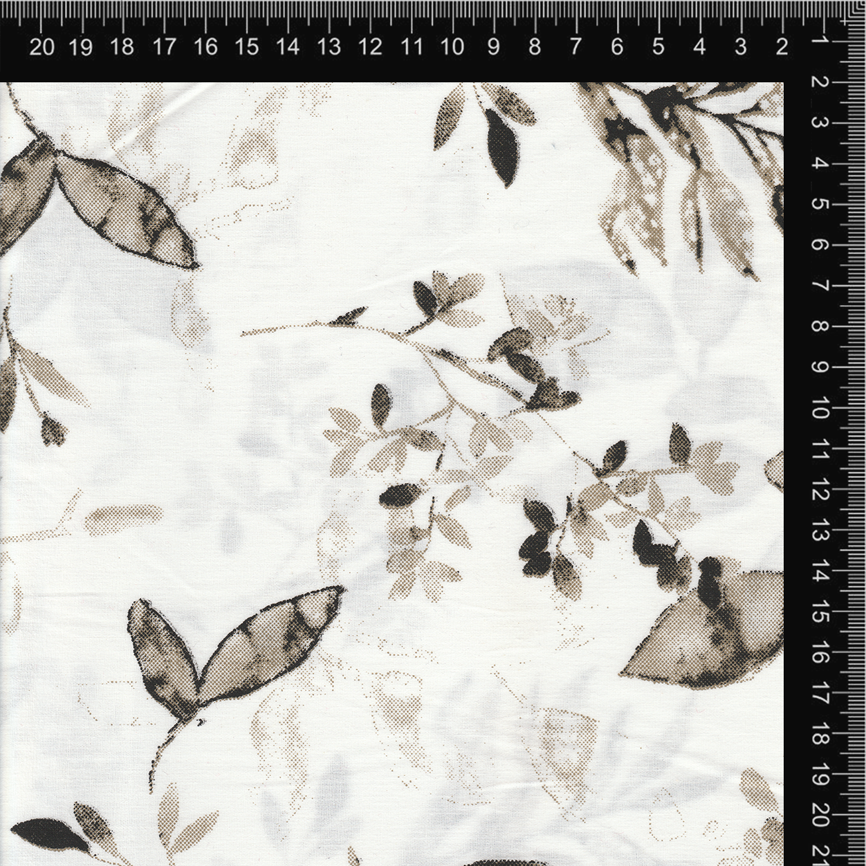 Sepia Botanical Leaf Sketch