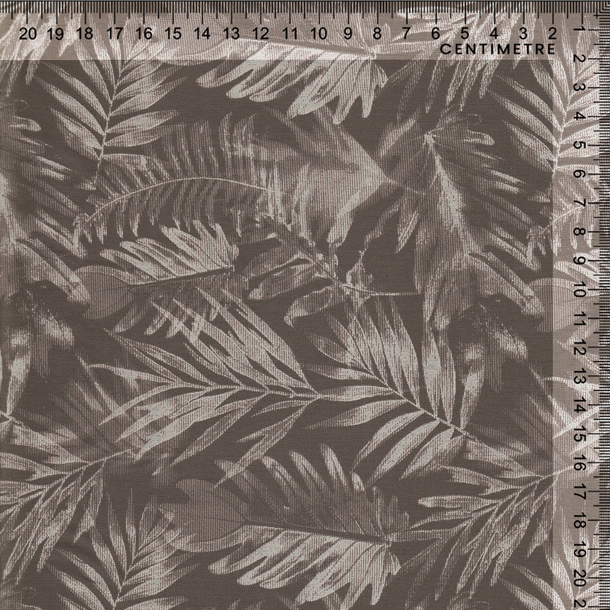 Taupe Fern Leaf Botanical
