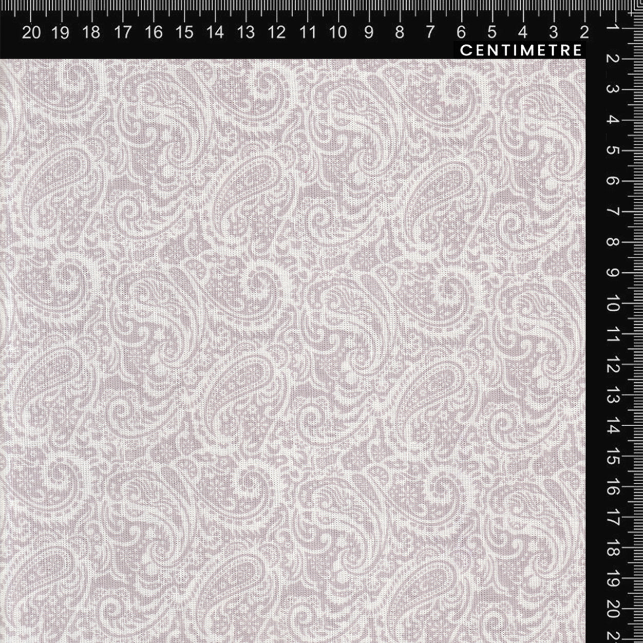 White & Silver Paisley Lace Print