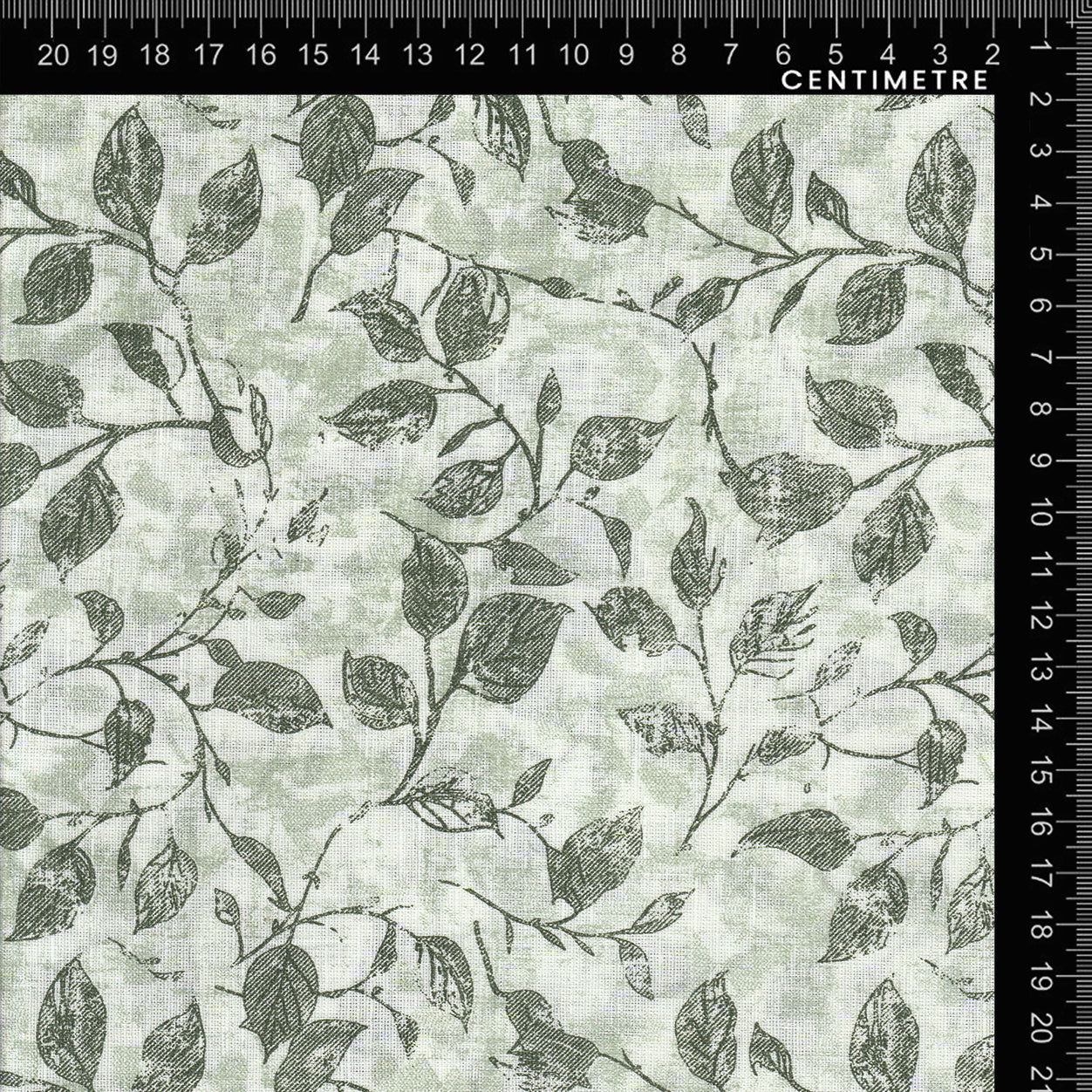 Sage Green Botanical Sketch