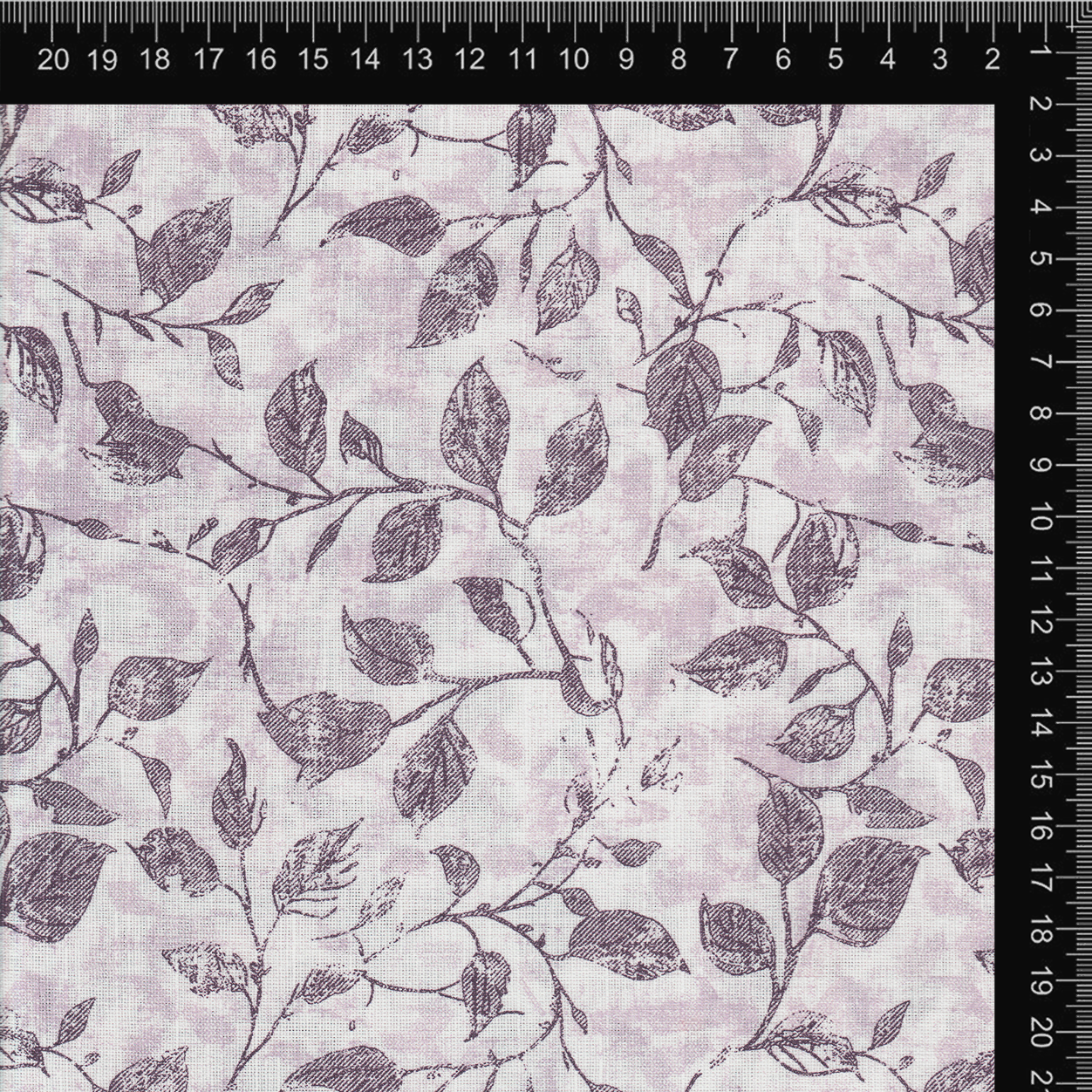 Plum Botanical Sketch Print