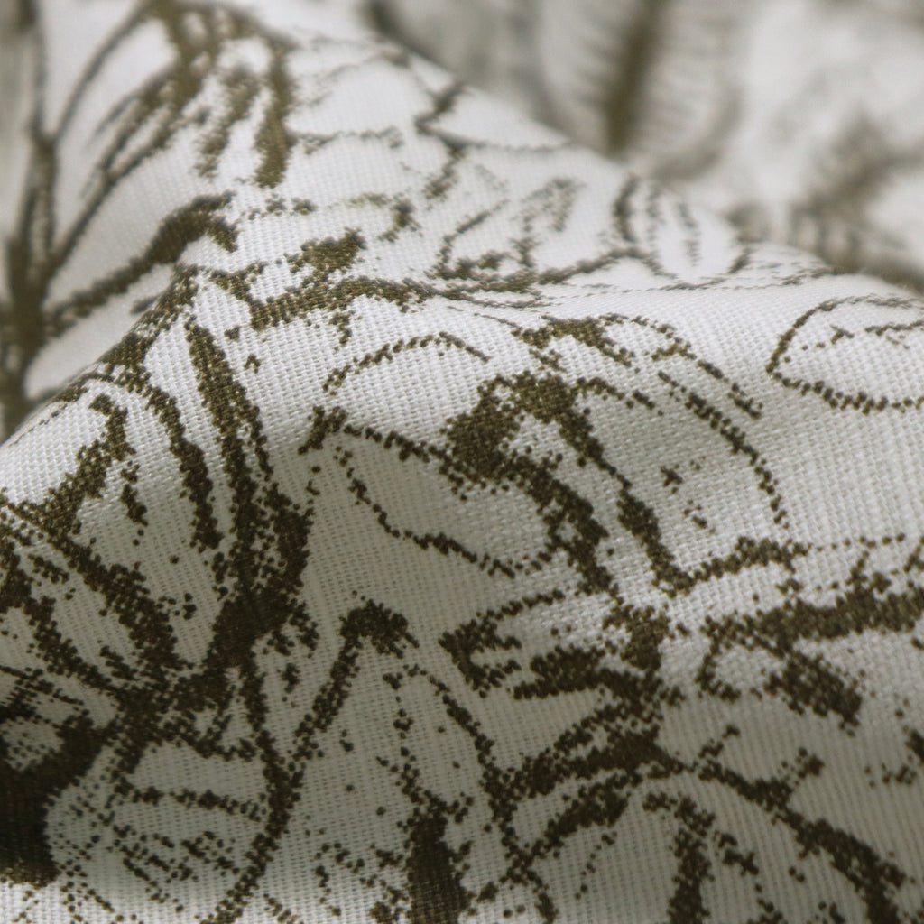 Olive Green Botanical Leaf Sketch