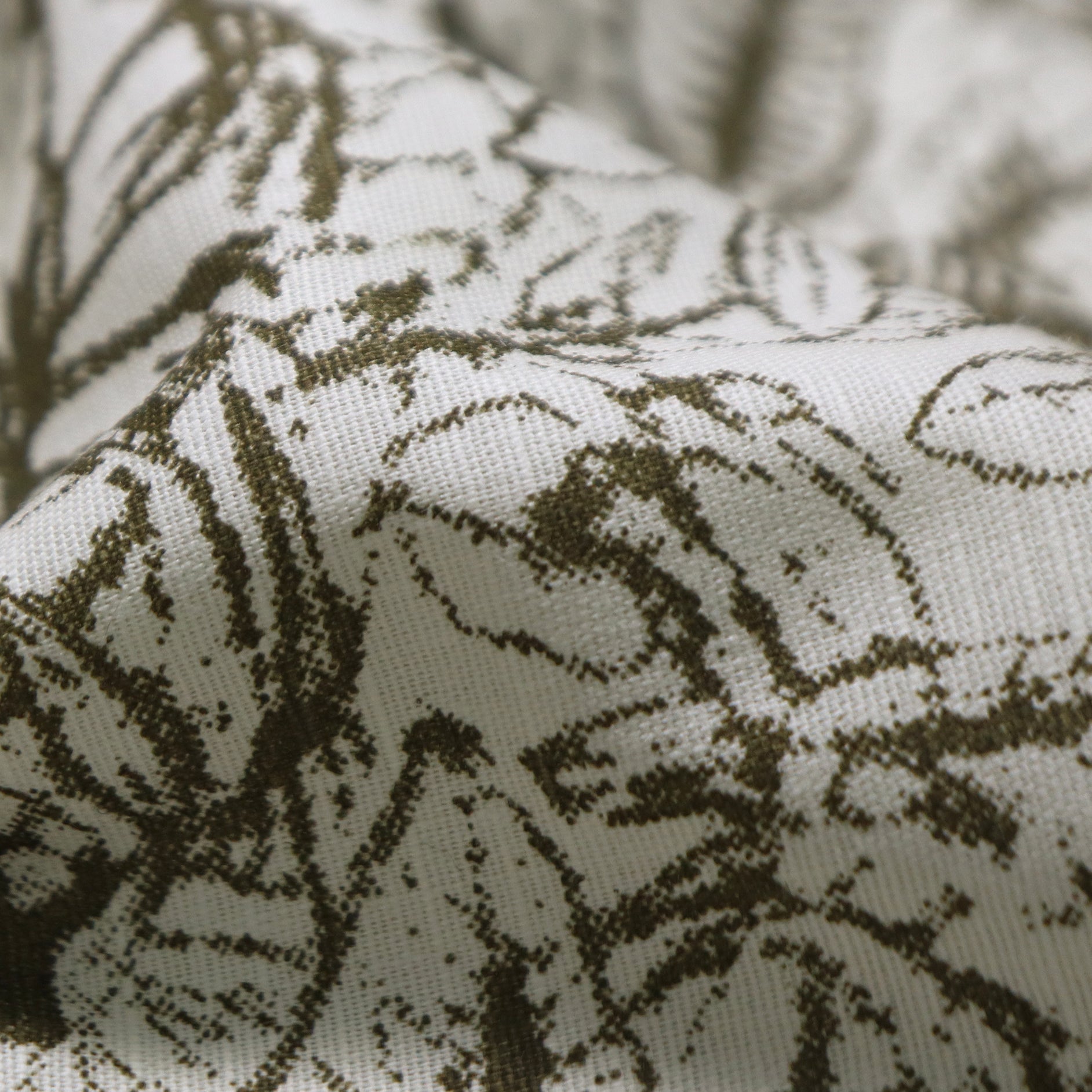 Olive Green Botanical Leaf Sketch
