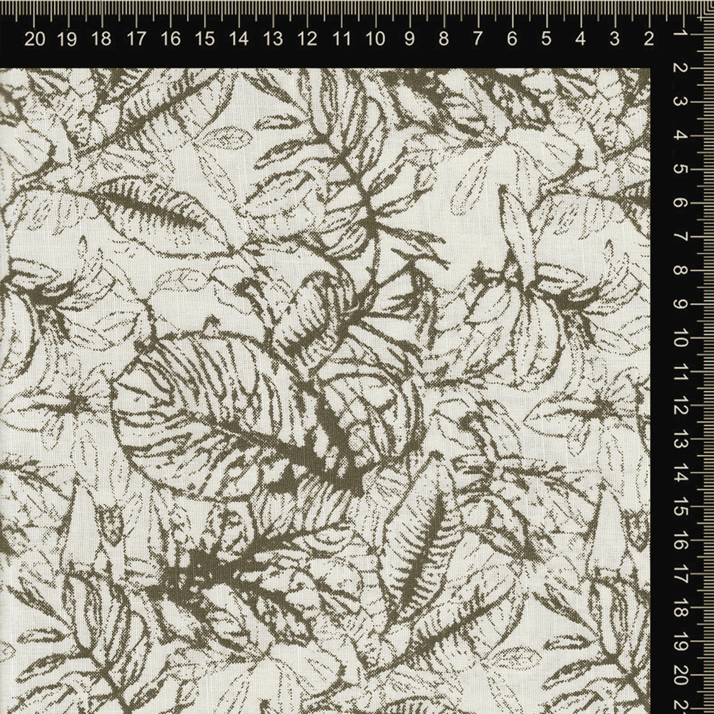 Olive Green Botanical Leaf Sketch