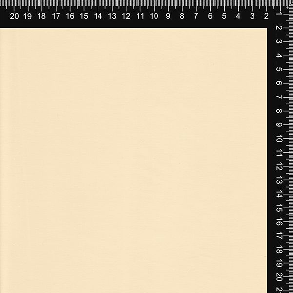 Cream Solid Cotton