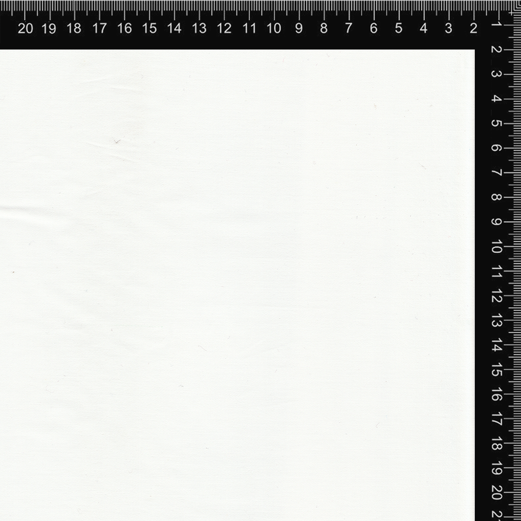 White Solid Cotton