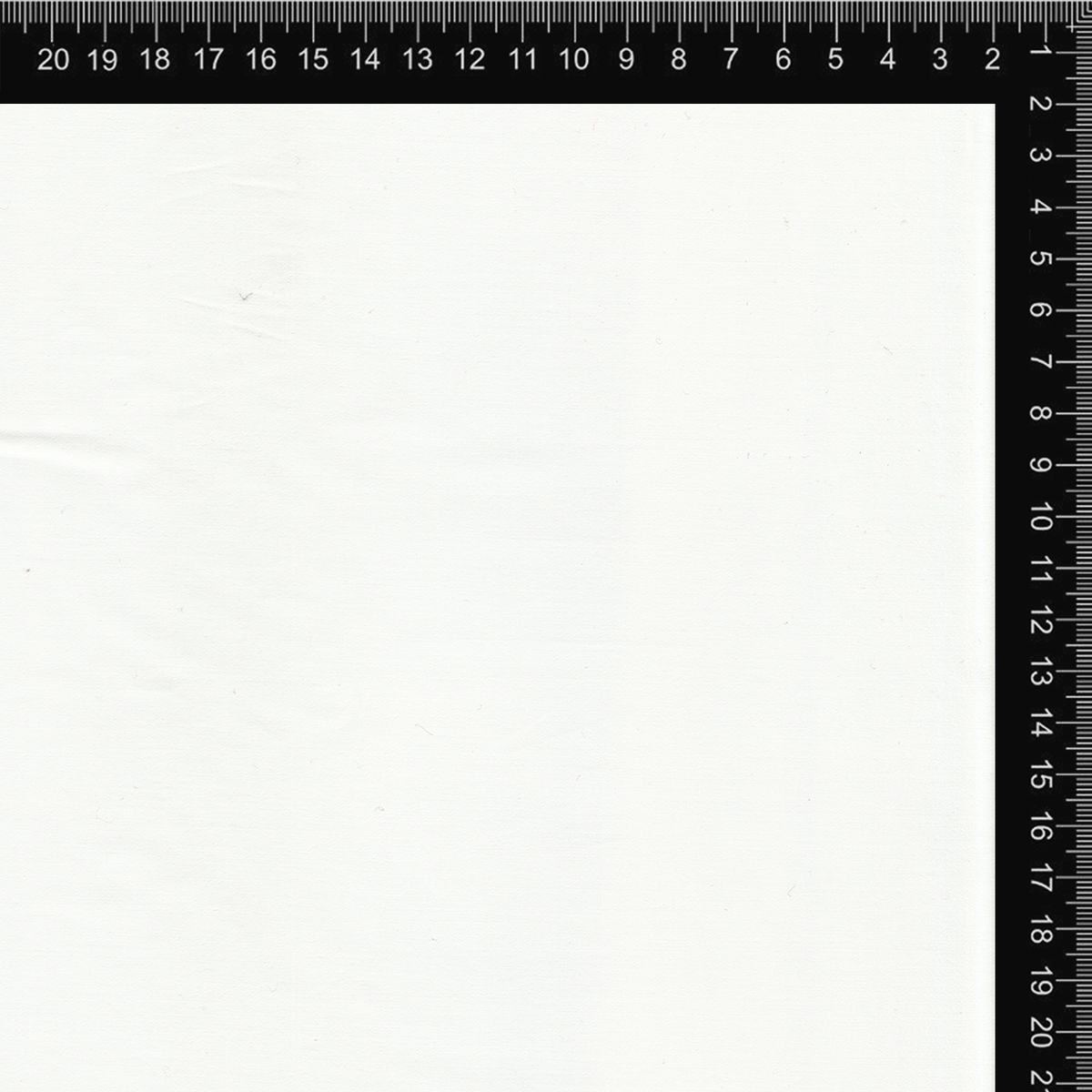 White Solid Cotton