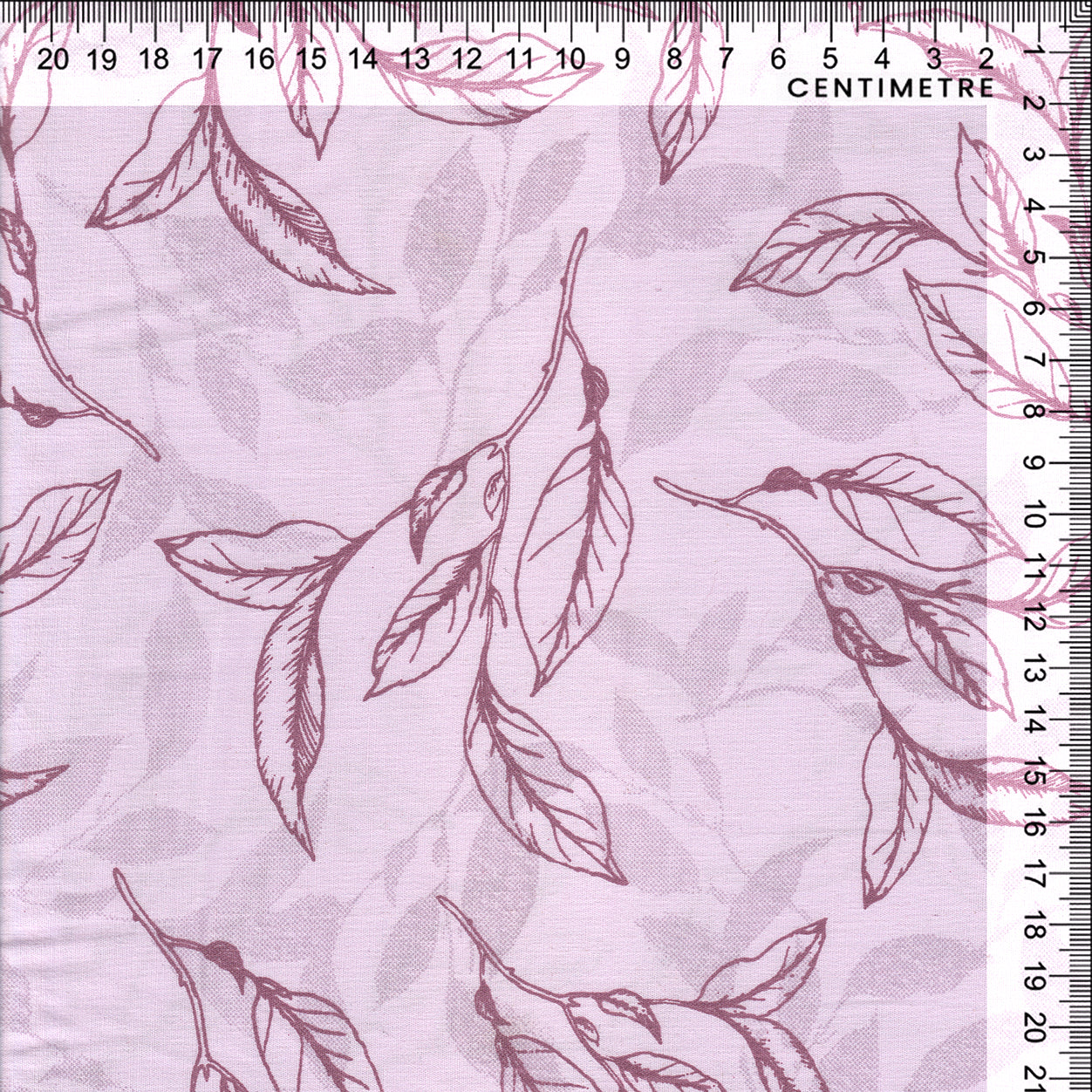 Lilac Botanical Leaf Sketch